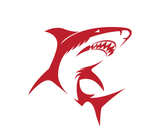 Red Shark Storage - Rebranding